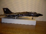 k-F-14 Tomcat (16).JPG

240,91 KB 
640 x 480 
18.03.2009
